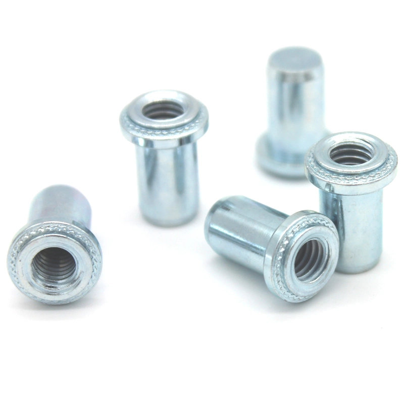 Stainless Steel Fasteners 304 BS-M3-1 BS-M3-2 Blind Nuts Self Clinching Nuts